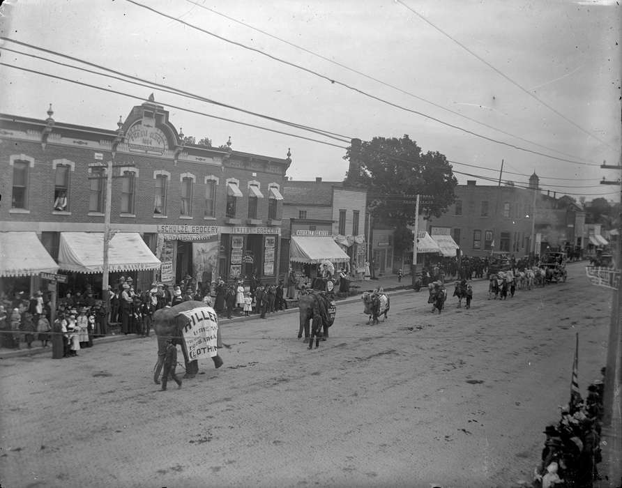 parade, Iowa History, Iowa, Waverly Public Library, Fairs and Festivals, Main Streets & Town Squares, Cities and Towns, history of Iowa, Animals, elephant
