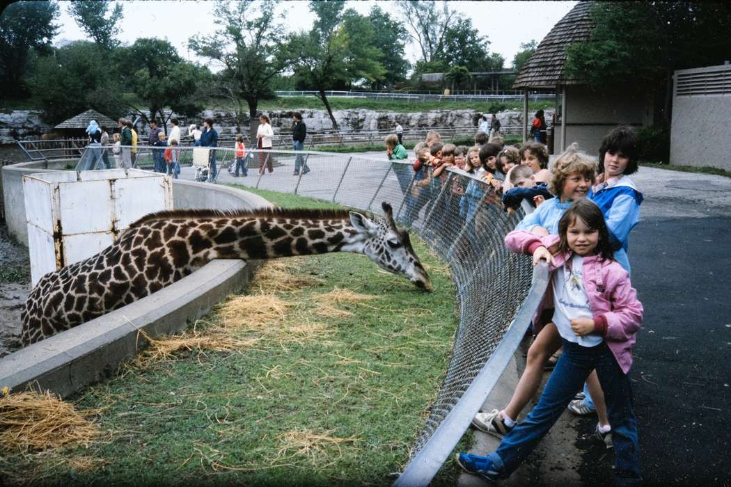 Photos, Kansas City, Iowa, zoo, MO, Coon Rapids Enterprise, school trip, missouri trip, history, historic, ia, Animals, giraffe, United States, Children, Schools and Education