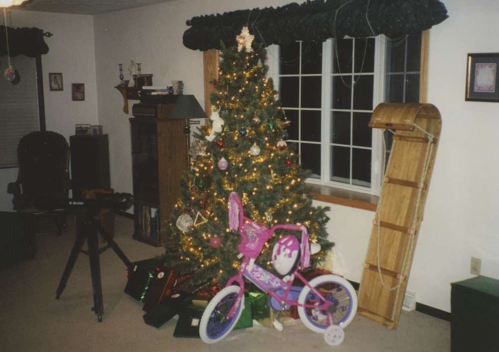 bike, Homes, Holidays, christmas tree, Ott, Mark, history of Iowa, living room, Denver, IA, Iowa History, sled, christmas, Iowa
