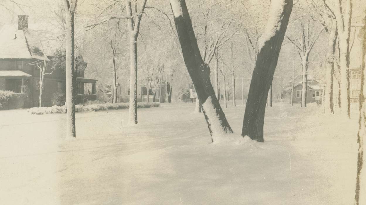 Iowa, Waverly Public Library, snowy trees, houses, Winter, correct date needed, Iowa History, history of Iowa, Landscapes, Cities and Towns, snow