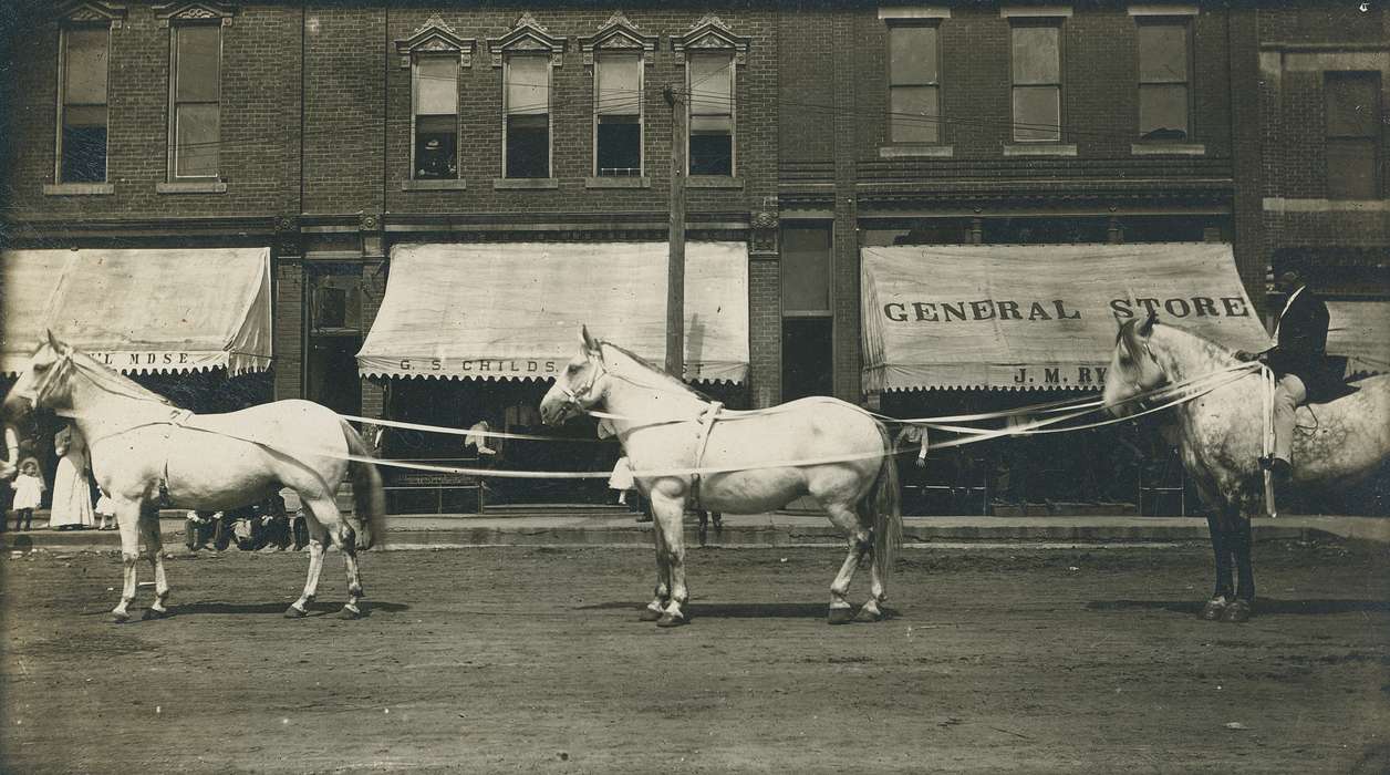 Portraits - Individual, horse, Animals, correct date needed, Businesses and Factories, Cities and Towns, Coon Rapids Enterprise, dirt road, Main Streets & Town Squares, Labor and Occupations, awning, brick building