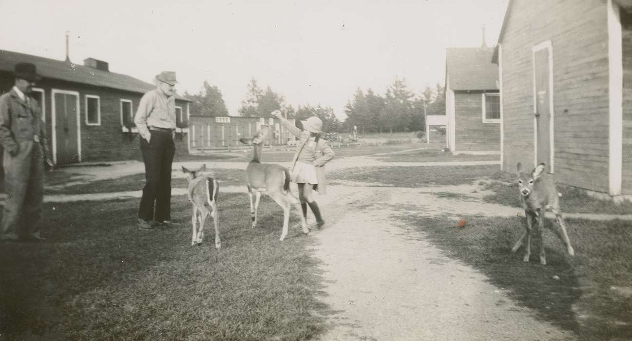 deer, Iowa, Animals, Hampton, IA, Iowa History, history of Iowa, Beach, Rosemary, Children, Barns