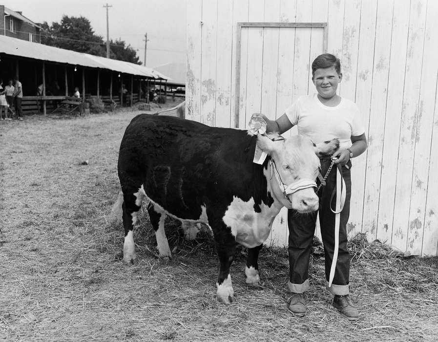 Coon Rapids, history, historic, Portraits - Individual, United States, IA, ia, leash, cow, Iowa, Fairs and Festivals, Coon Rapids Enterprise, Photos, Children, Animals, power line