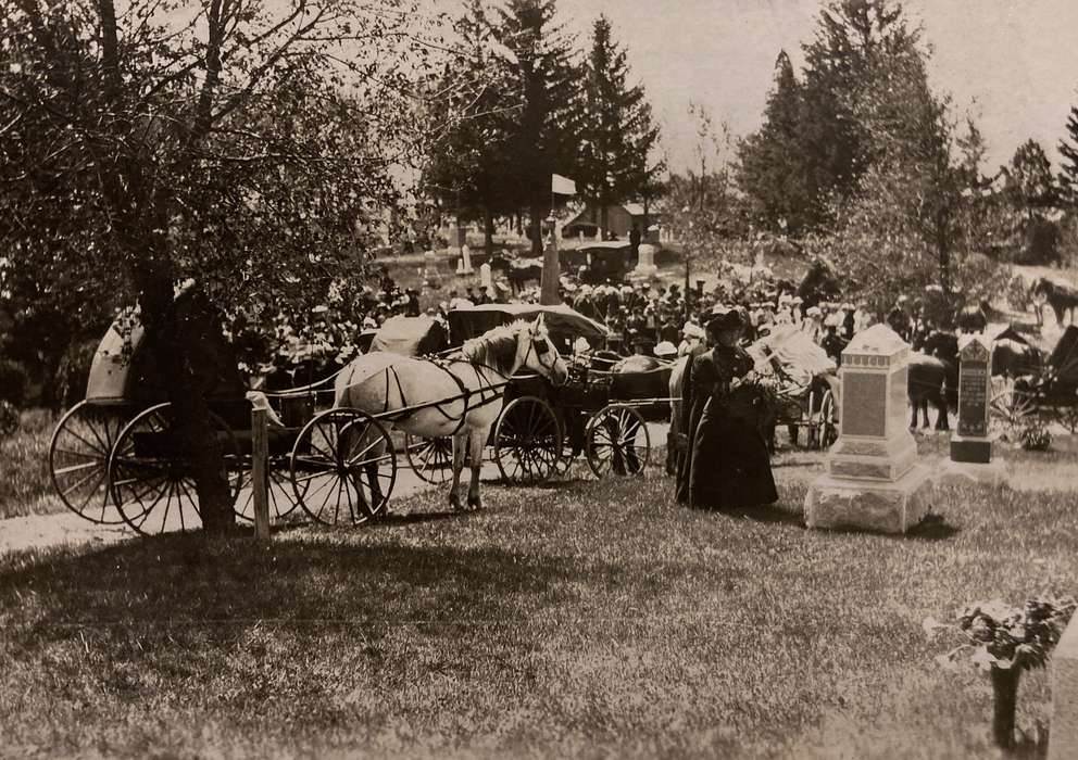 Cemeteries and Funerals, horse carriage, flag, can't confirm date and or location, Animals, Civic Engagement, Iowa History, Iowa, Witt, Bill, history of Iowa, IA, horse