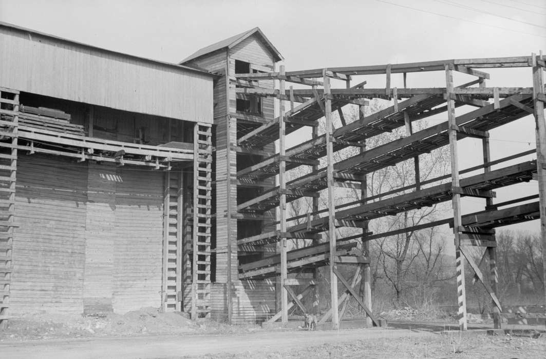 ladders, Businesses and Factories, dog, history of Iowa, Iowa History, Animals, ice plant, Library of Congress, wooden building, Iowa