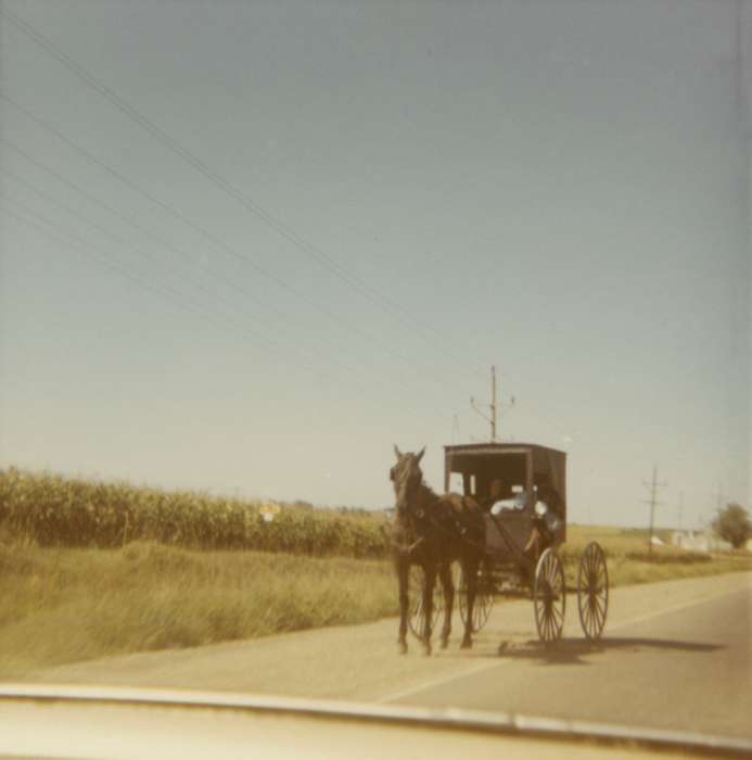 history of Iowa, Iowa, amish, horse, Soyer, Loretta, Amana, IA, horse and buggy, Animals, Iowa History