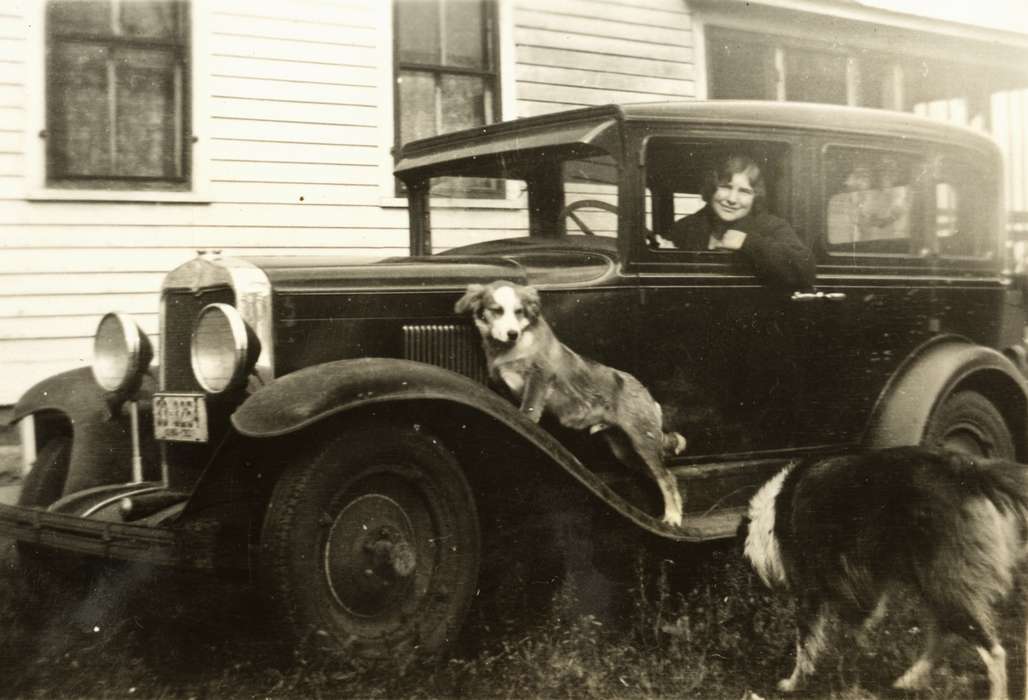 dog, woman, Motorized Vehicles, car, Iowa History, Hawkeye, IA, Gary, Stacy A., Portraits - Individual, Animals, Iowa, history of Iowa