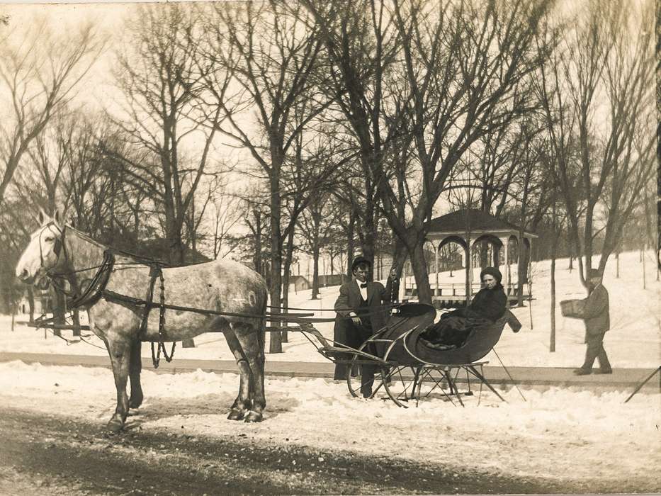 Winter, horse, snow, Anamosa Library & Learning Center, Outdoor Recreation, sleigh, gazebo, Anamosa, IA, Animals, history of Iowa, Iowa History, Iowa