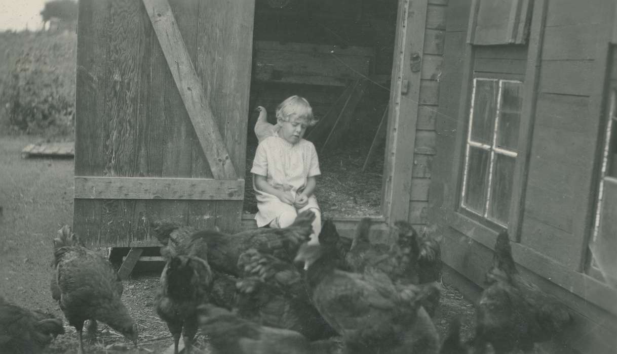 Animals, chickens, Iowa, Children, McMurray, Doug, Iowa History, history of Iowa, Farms, Webster City, IA