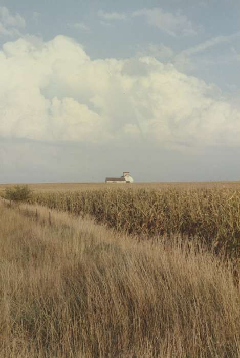 corn, history of Iowa, clouds, Landscapes, McVey, Michael and Tracy, Iowa History, field, Farms, Iowa, IA, barn