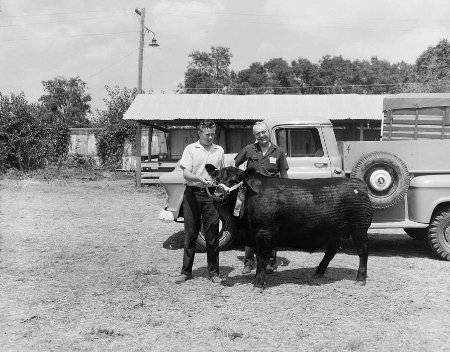 Coon Rapids, truck, history, historic, United States, IA, ia, leash, cow, Iowa, Fairs and Festivals, Coon Rapids Enterprise, Photos, Children, Animals, glasses, power line