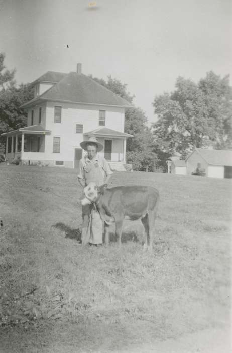 calf, Ellsworth, IA, Tuttle, Kevin, Children, Homes, Iowa History, Farms, cow, Animals, Iowa, history of Iowa