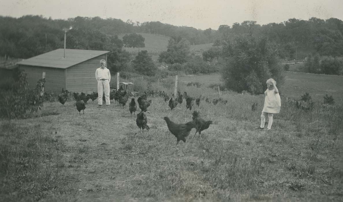 Animals, chickens, Iowa, Children, McMurray, Doug, Iowa History, hatchery, history of Iowa, Farms, Webster City, IA, chicken coop