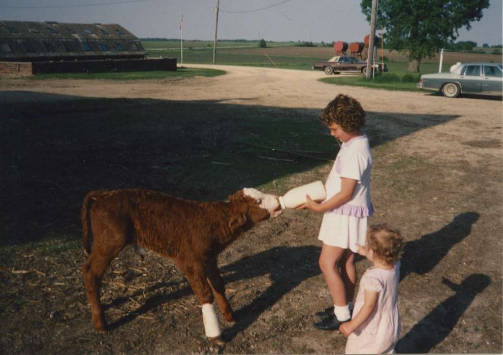 milk bottle, Families, Leisure, Glaser, Joseph, Children, girls, history of Iowa, car, Iowa History, Motorized Vehicles, Iowa, Animals, calf, milk, Farms, bottle, New Hampton, IA
