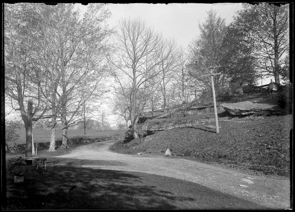 tree, Spring Hill, CT, dirt, Iowa History, Archives & Special Collections, University of Connecticut Library, Iowa, road, history of Iowa