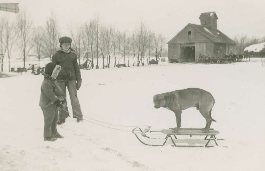 IA, Animals, Farms, Outdoor Recreation, Iowa History, Winter, dog, Iowa, Breja, Janice, history of Iowa, sled, Children
