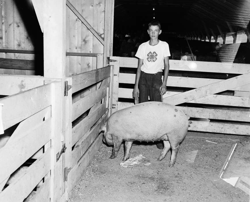 Coon Rapids, pig, history, 4-h, historic, Portraits - Individual, United States, IA, ia, Iowa, Coon Rapids Enterprise, Children, Animals, Photos, pig pen