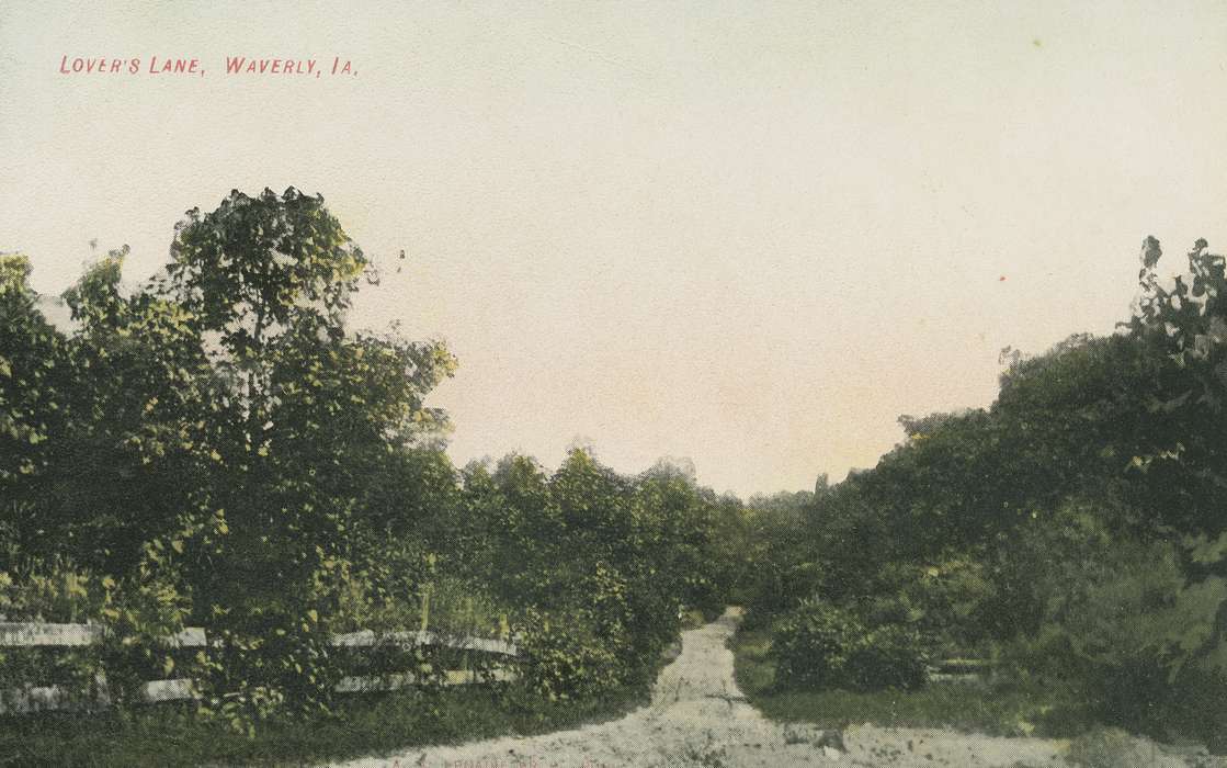 wooden fence, Landscapes, Meyer, Mary, tree, dirt road, dirt path