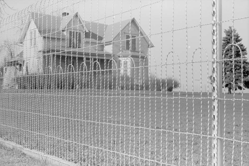 Landscapes, farmhouse, fence, pine tree, bushes, Iowa History, history of Iowa, tree, front yard, Farms, Library of Congress, front porch, Iowa, Homes