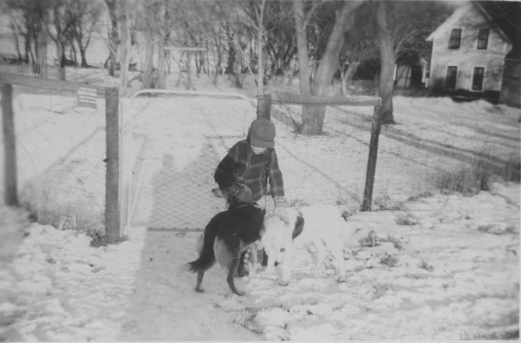 Ramsen, IA, dogs, pet, Animals, history of Iowa, Phillips, Kim, Iowa, Winter, Iowa History, fence, snow