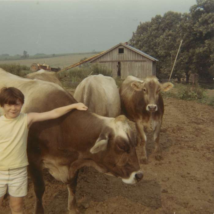 Portraits - Individual, Barns, barn, cow, Iowa History, Scholtec, Emily, history of Iowa, Animals, tree, Farms, Children, Iowa, brown swiss, IA