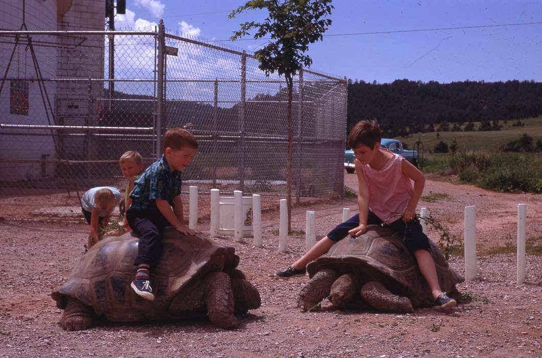 Children, tortoise, Iowa History, Zischke, Ward, Iowa, USA, history of Iowa, Animals