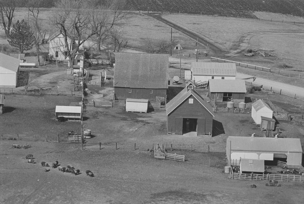 Ottumwa, IA, Barns, Farms, Iowa History, field, Iowa, silo, Aerial Shots, coupe, history of Iowa, Lemberger, LeAnn