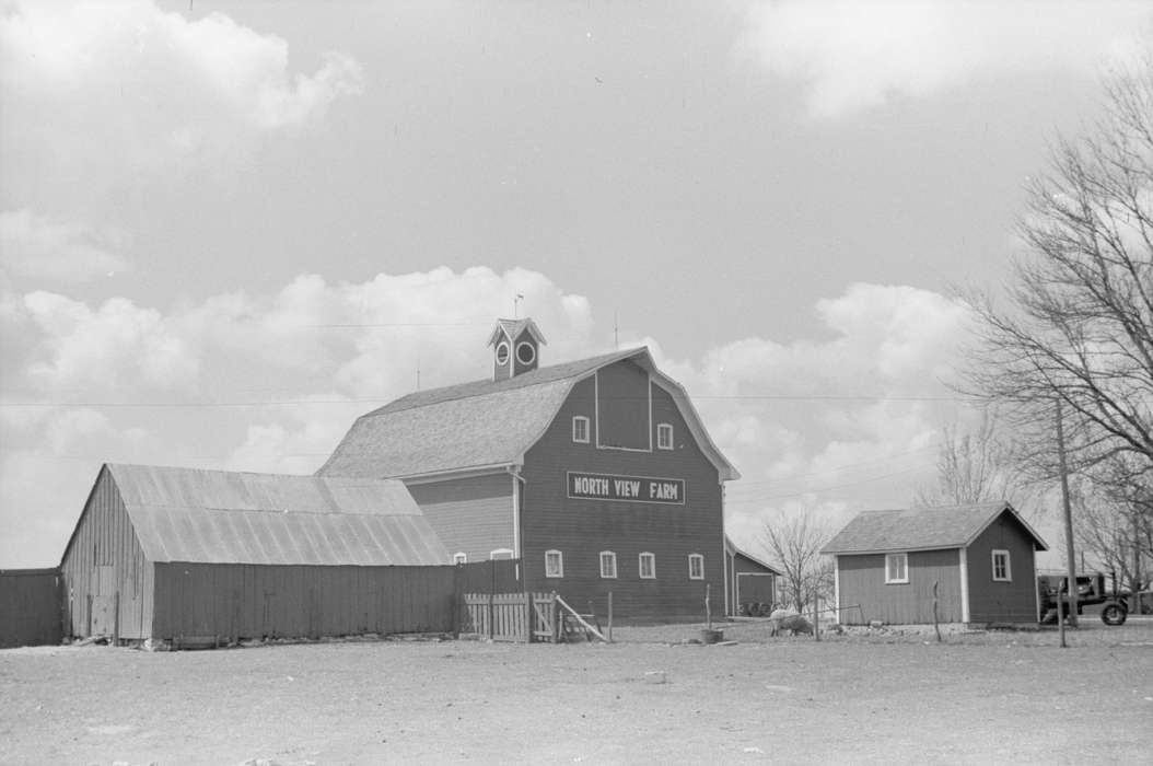 tractor, Library of Congress, Iowa History, Barns, Motorized Vehicles, barnyard, Farming Equipment, history of Iowa, power lines, sheep, Farms, sheds, Animals, Iowa