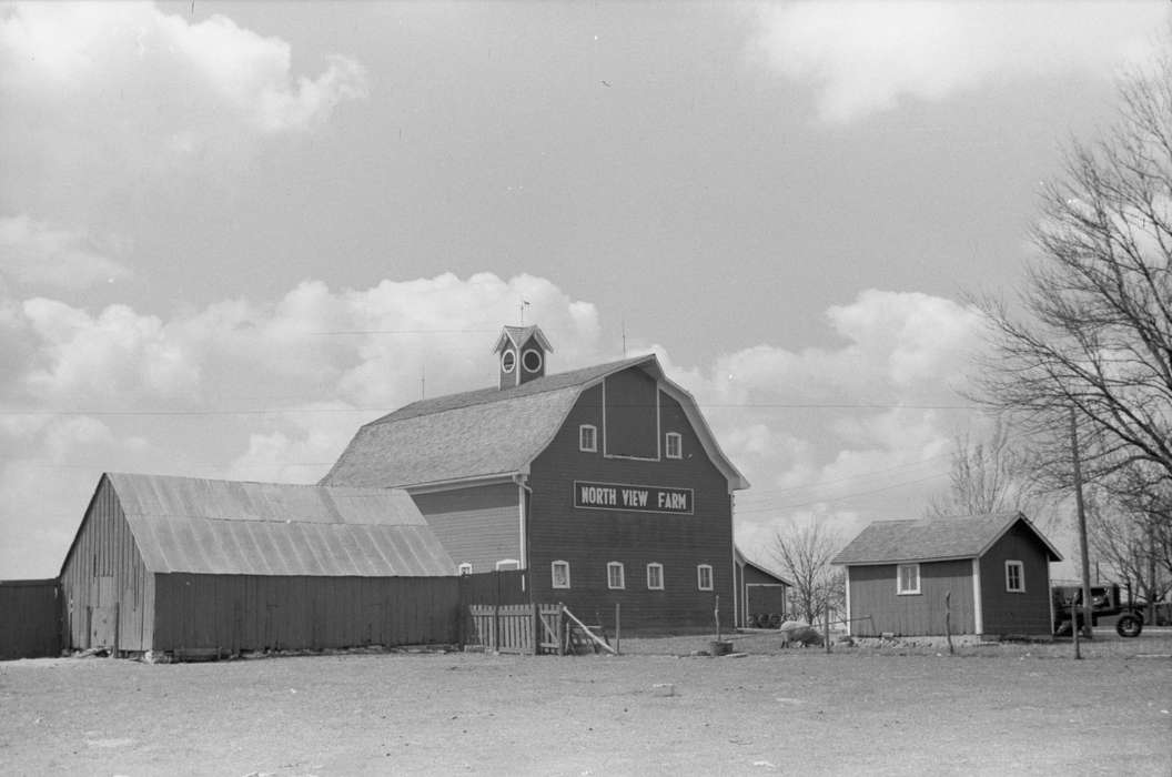 sheds, Iowa History, Barns, sheep, Farms, history of Iowa, Motorized Vehicles, Farming Equipment, power lines, Animals, red barn, tractor, barnyard, Iowa, Library of Congress