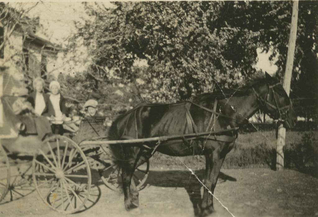 carriage, horse, Schools and Education, North Washington, IA, Iowa History, Portraits - Group, Families, Animals, Iowa, history of Iowa, Glaser, Joseph