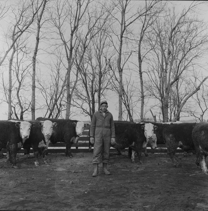 Portraits - Individual, Iowa, IA, United States, Photos, cow, Labor and Occupations, historic, Coon Rapids, Farms, history, Animals, ia, Coon Rapids Enterprise, farm