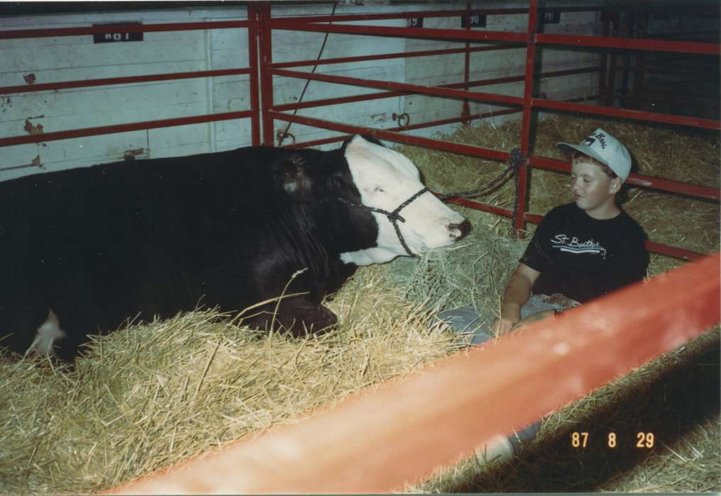 Children, Lennie, Daniel, Animals, Iowa History, Des Moines, IA, bull, Iowa, hay, history of Iowa