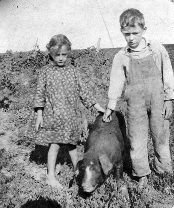 Farms, Children, Eldora, IA, Iowa History, hog, Portraits - Group, Klinefelter, Mary, pig, Animals, Iowa, history of Iowa, Outdoor Recreation