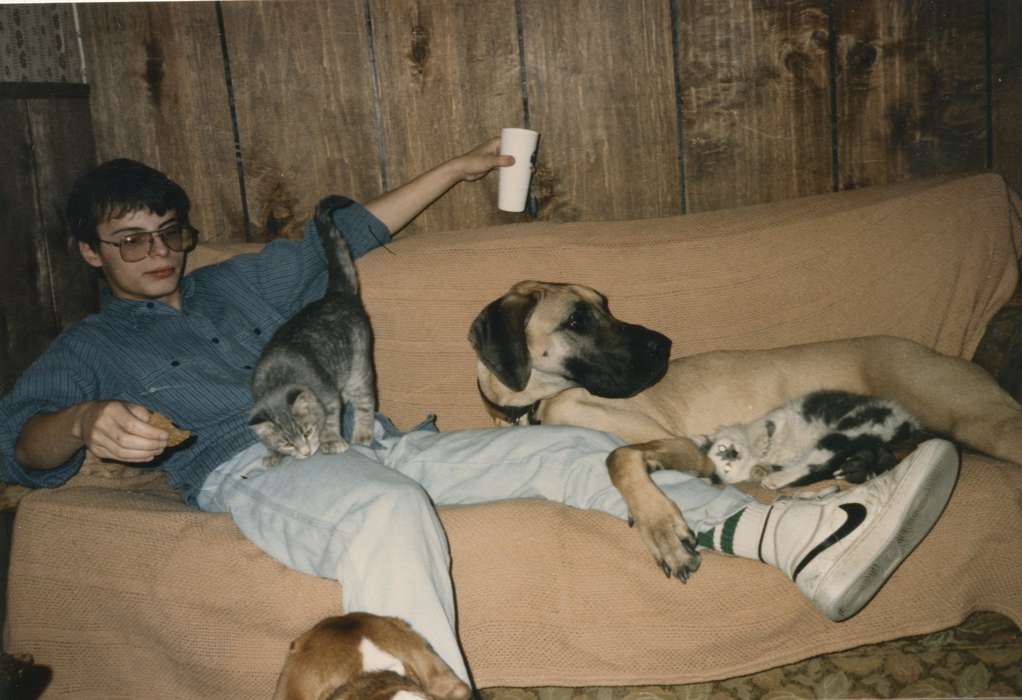 dogs, cat, boy, Animals, pets, Waterloo, IA, history of Iowa, Portraits - Individual, couch, Iowa, Leisure, Iowa History, great dane, Olsson, Ann and Jons