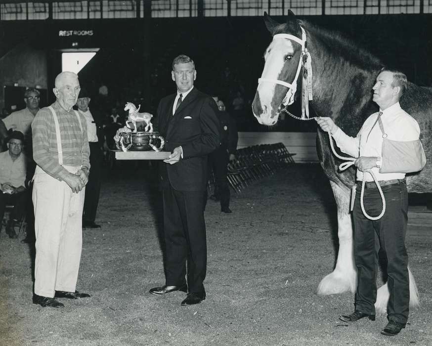 Animals, award, Photos, history, ia, IA, Fairs and Festivals, horse, Black Hawk, historic, Iowa, horse show, Waterloo, adult man, Grout Museum of History and Science, United States