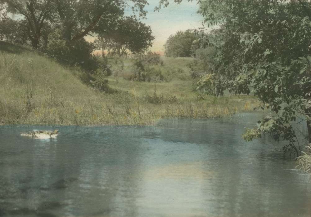 Lakes, Rivers, and Streams, Iowa History, McMurray, Doug, pond, history of Iowa, Iowa, Webster City, IA