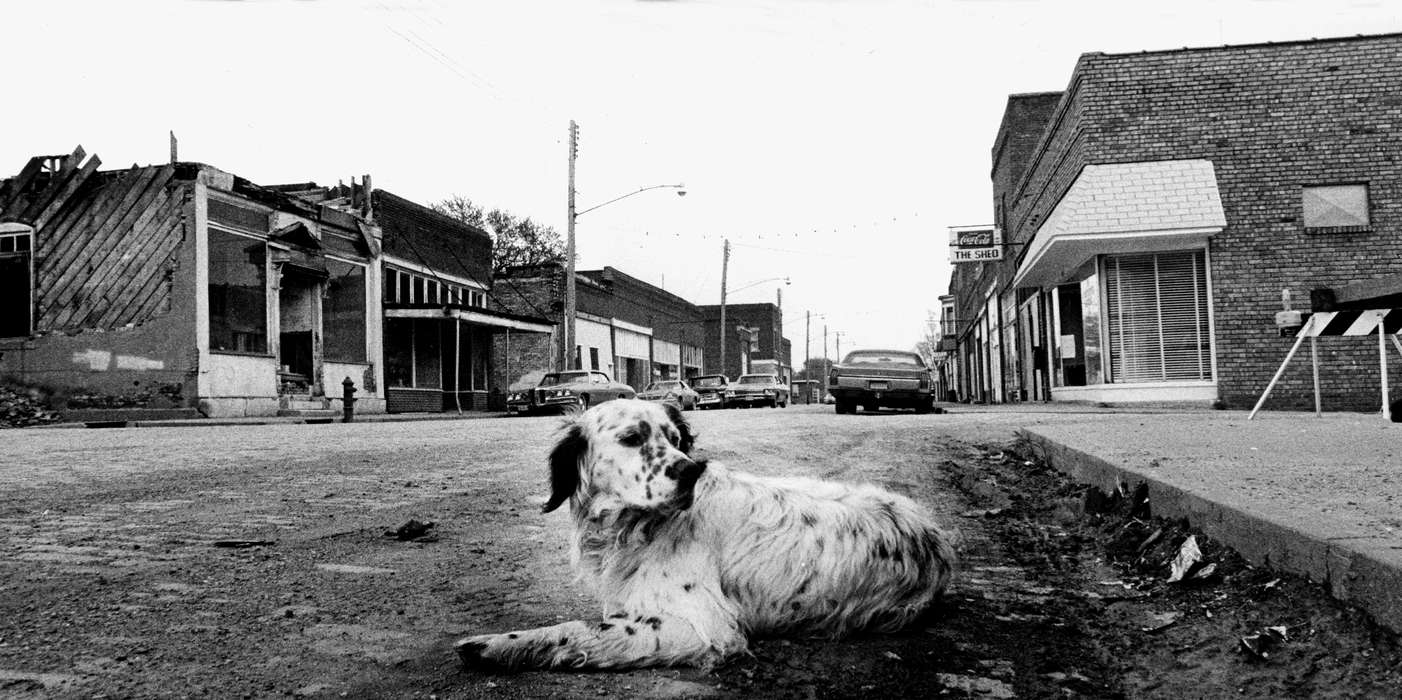 Main Streets & Town Squares, Lemberger, LeAnn, dog, Animals, Cities and Towns, car, Mystic, IA, Iowa, Iowa History, Motorized Vehicles, history of Iowa, street, downtown