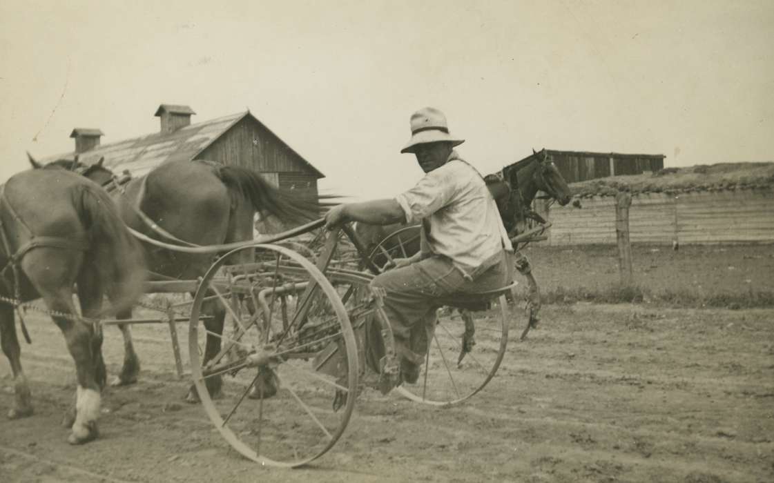 Animals, Iowa, Iowa History, McVey, Michael and Tracy, Farms, history of Iowa, carriage, Farming Equipment, horse, IA