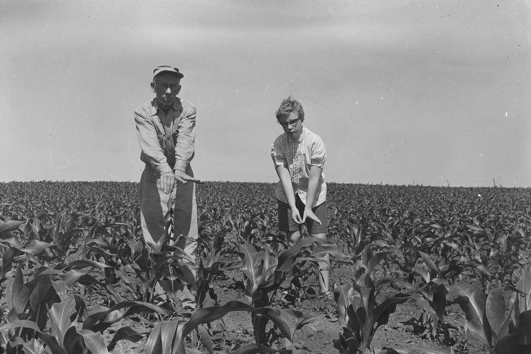 cornfield, ia, Photos, adult man, United States, Iowa, woman, Farms, cornstalk, corn, farmer, corn field, IA, Coon Rapids, historic, history, Portraits - Group, Coon Rapids Enterprise