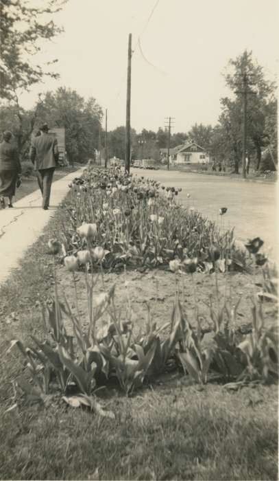 sidewalk, Hilmer, Betty, celebration, Cities and Towns, Iowa, Iowa History, tulip, flower, history of Iowa, Pella, IA
