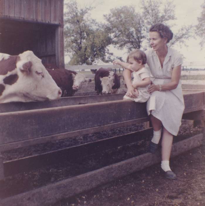Iowa, Iowa History, Children, cow, history of Iowa, Karns, Mike, Animals, Mount Vernon, IA, Families, Farms