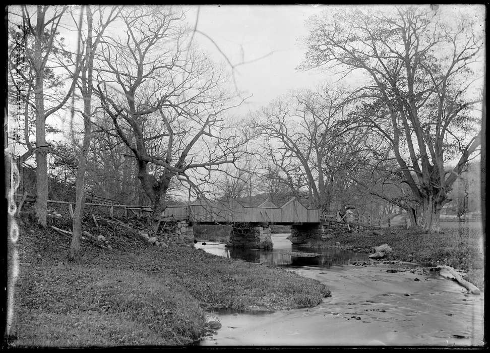 tree, Chaffeeville, CT, bridge, Iowa History, Archives & Special Collections, University of Connecticut Library, stream, Iowa, history of Iowa