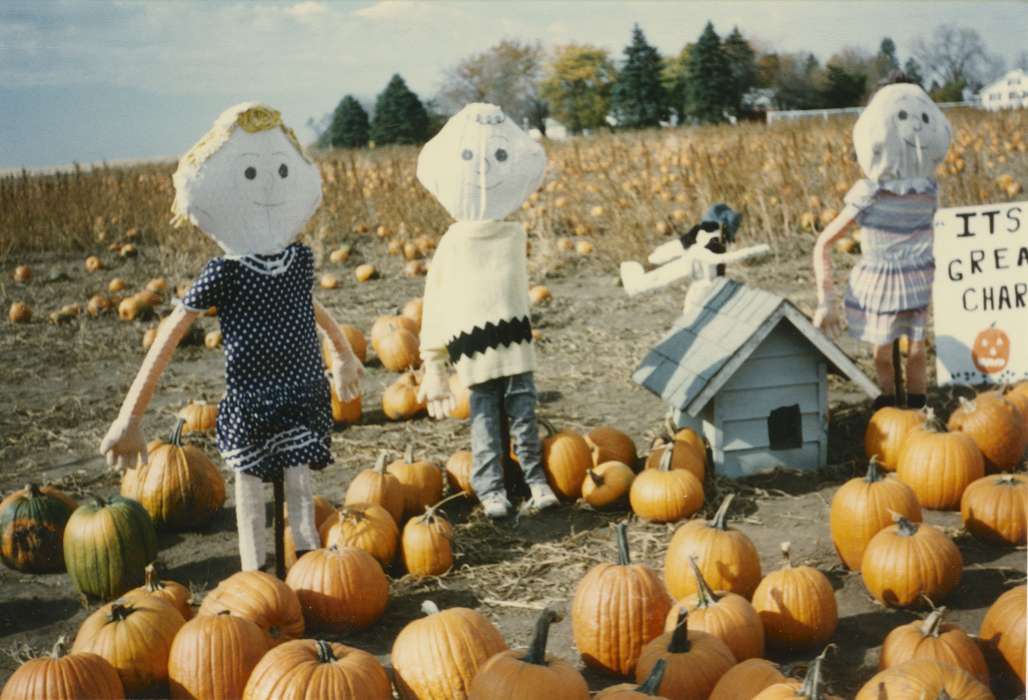 pumpkin, Bancroft, Cynthia, scarecrow, Iowa, Iowa History, pumpkin patch, IA, halloween, history of Iowa, Farms