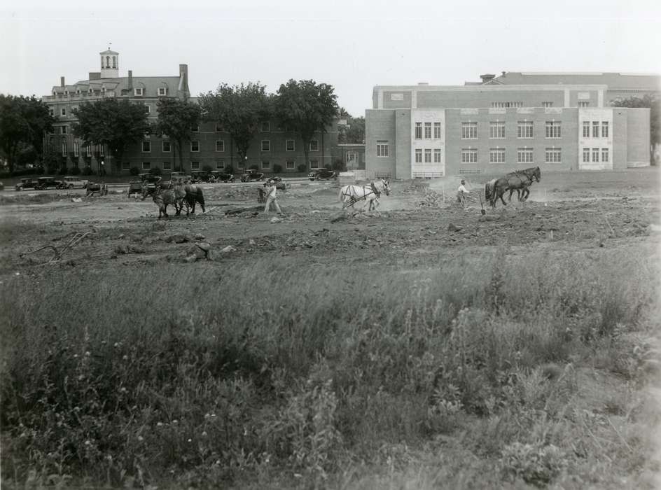 construction crew, Cedar Falls, IA, Labor and Occupations, Animals, horse, uni, history of Iowa, Iowa, university of northern iowa, Iowa History, iowa state teachers college, commons, construction, Schools and Education, UNI Special Collections & University Archives