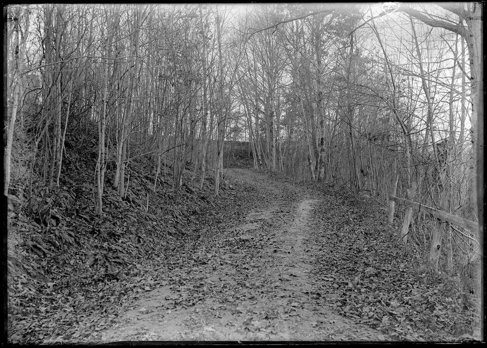 dirt, road, tree, Iowa, Iowa History, Chaffeeville, CT, history of Iowa, Archives & Special Collections, University of Connecticut Library