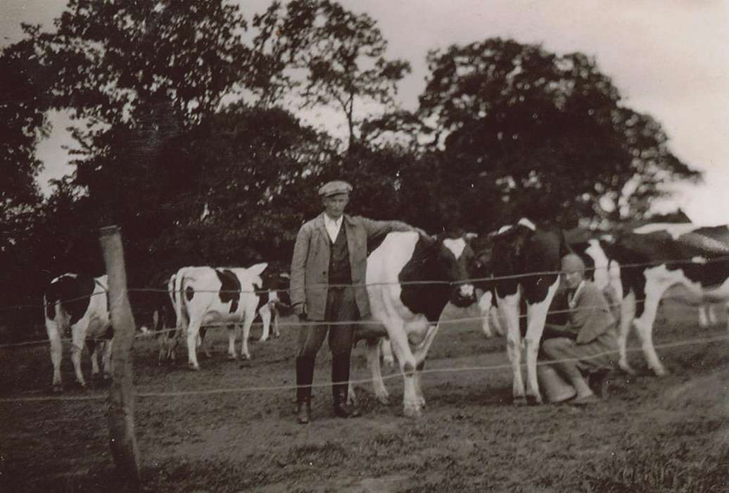 cattle, Portraits - Individual, Iowa, Clark, Blake, Animals, Germany, correct date needed, Iowa History, history of Iowa, fence, wire, man, milking bucket, Farms, cows