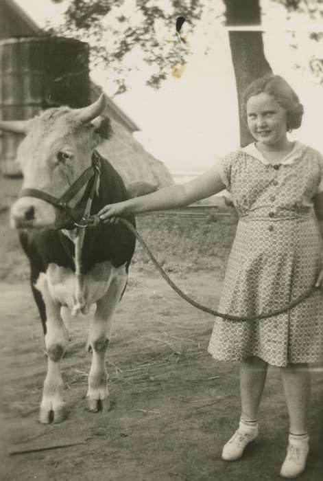 calf, Iowa History, Bull, Ardith, Portraits - Group, cow, Iowa, Fairs and Festivals, Farms, girl, history of Iowa, Animals, Dysart, IA, child