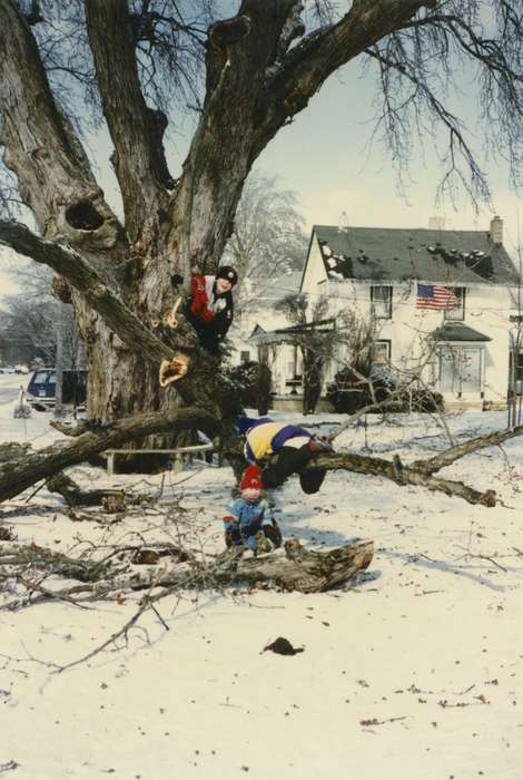 tree, american flag, flag, Children, Bancroft, Cynthia, Iowa History, Winter, Iowa, Leisure, history of Iowa, West Union, IA