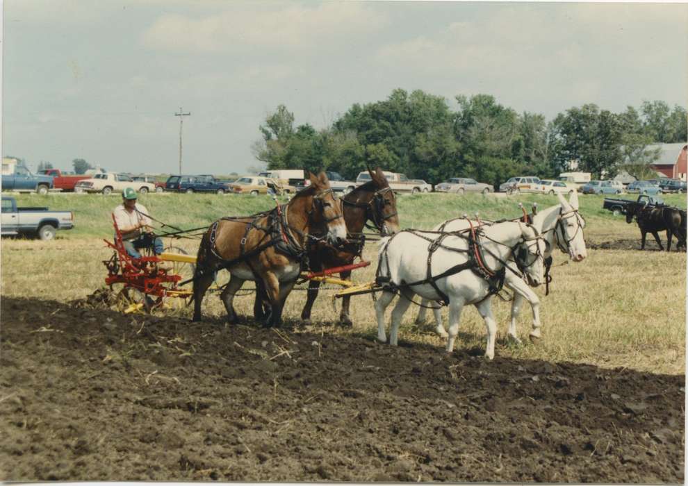 cars, horse, Cresco, IA, Farms, Newhall, Rich and Sue, history of Iowa, Farming Equipment, Iowa History, Animals, plow, contest, Motorized Vehicles, Fairs and Festivals, Iowa