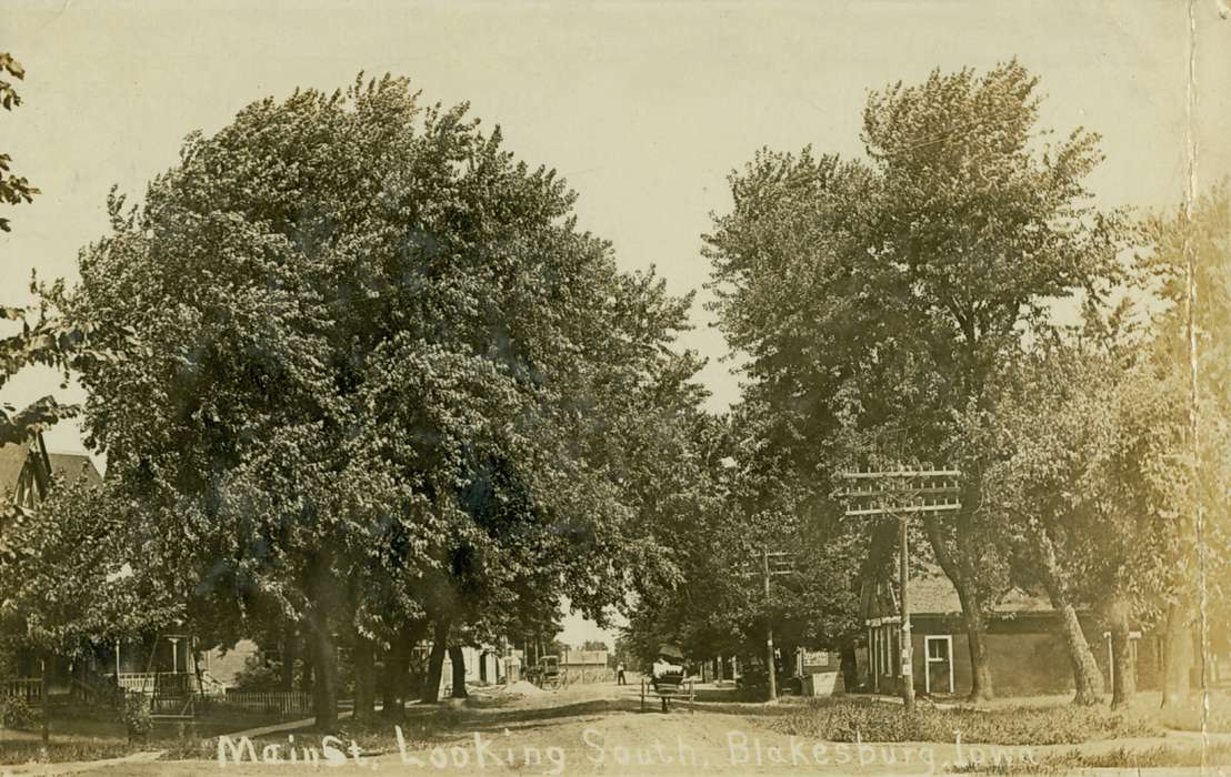 tree, Iowa, history of Iowa, Iowa History, Cities and Towns, Blakesburg, IA, carriage, power line, Lemberger, LeAnn